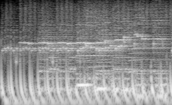 File:Noah - Grayscale spectrogram by mkjpg.jpg