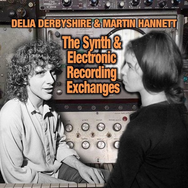 File:The Synth and Electronic Recording Exchanges.jpg