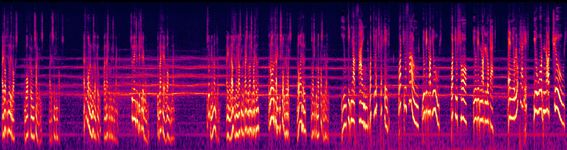 The Bagman - 8. The Gypsy Woman - Spectrogram.jpg