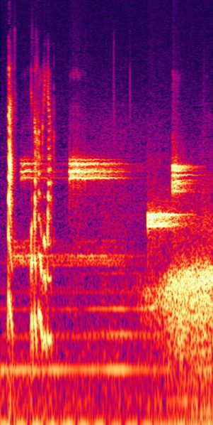 File:28'01.7-28'11.1 The Hungry Gap - Spectrogram.jpg