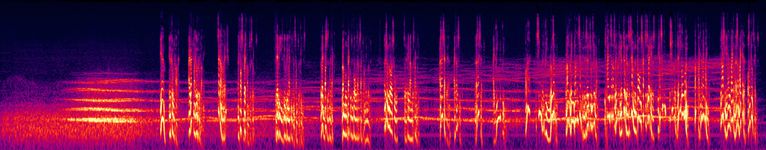 The Bagman - 2. Dreaming in Highgate Wood - Spectrogram.jpg