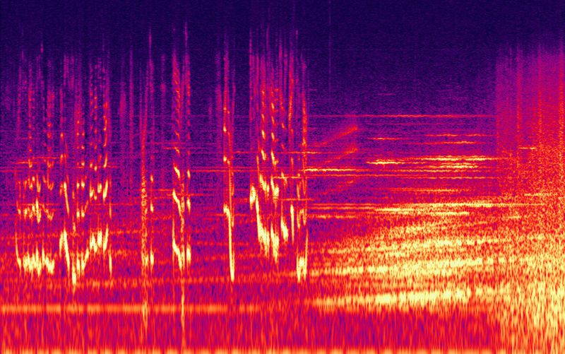 File:44'11.9-44'41.5 Chilling background with final swell - Spectrogram.jpg
