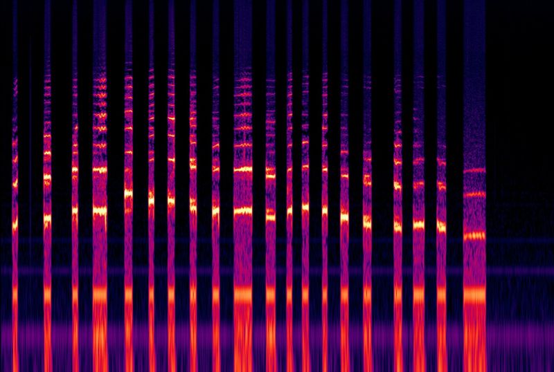 File:Amor Dei Cut Tones - Spectrogram.jpg