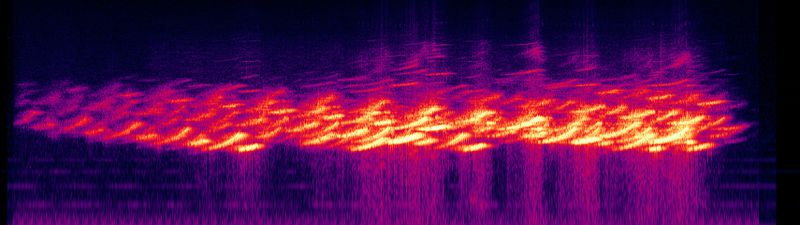 File:Frozen Waste - Spectrogram.jpg